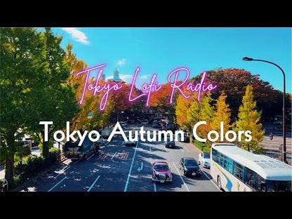 Framed poster - Tokyo Autumn Colors